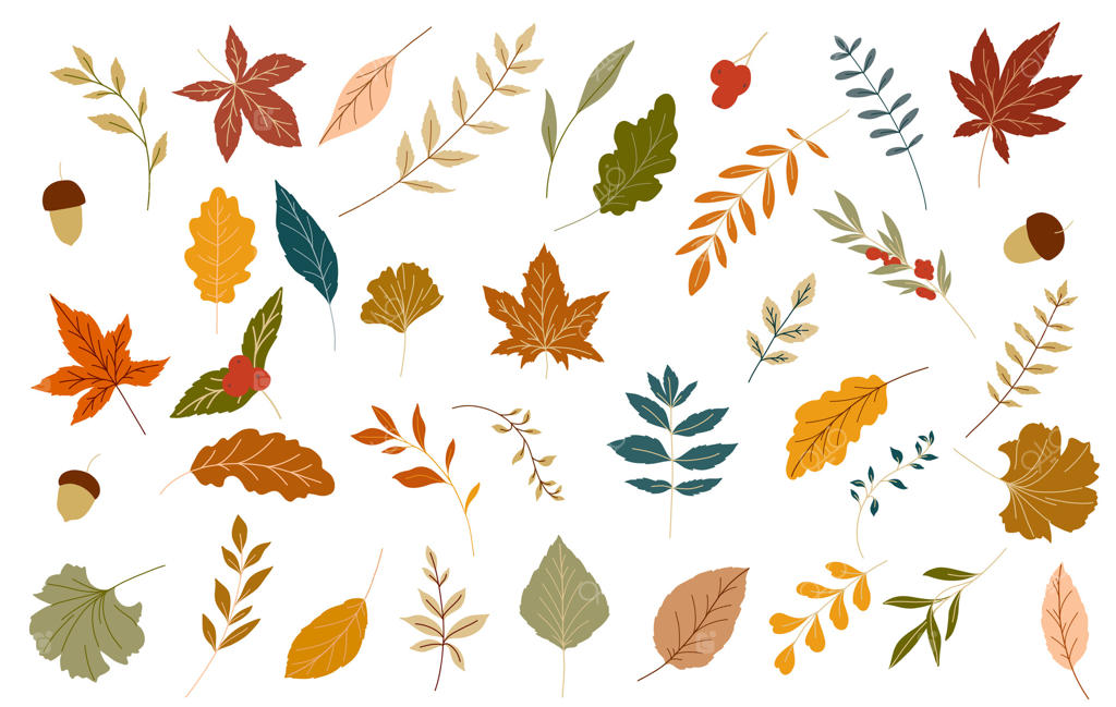 مجموعه‌ای از برگ‌های پاییزی زیبا برای دکور پاییز - وکتور حرفه‌ای