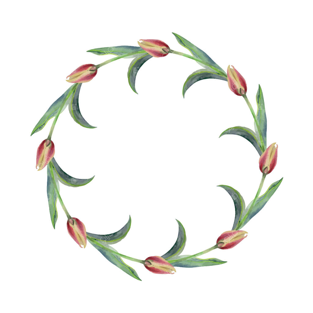 گل‌های بهاری: لاله‌های زرد و قرمز با برگ‌های سبز، زعفران کروکس باغی پیازی، طراحی شده با آبرنگ. تصویر گیاهی، حلقه گرد. ویژه‌ی لوازم عروسی و فروشگاه گل.