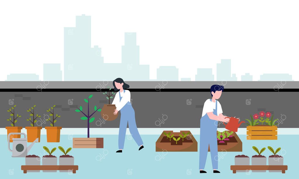 باغبانان و کشاورزان در کنار هم: تصویرسازی پشت بامی سبز