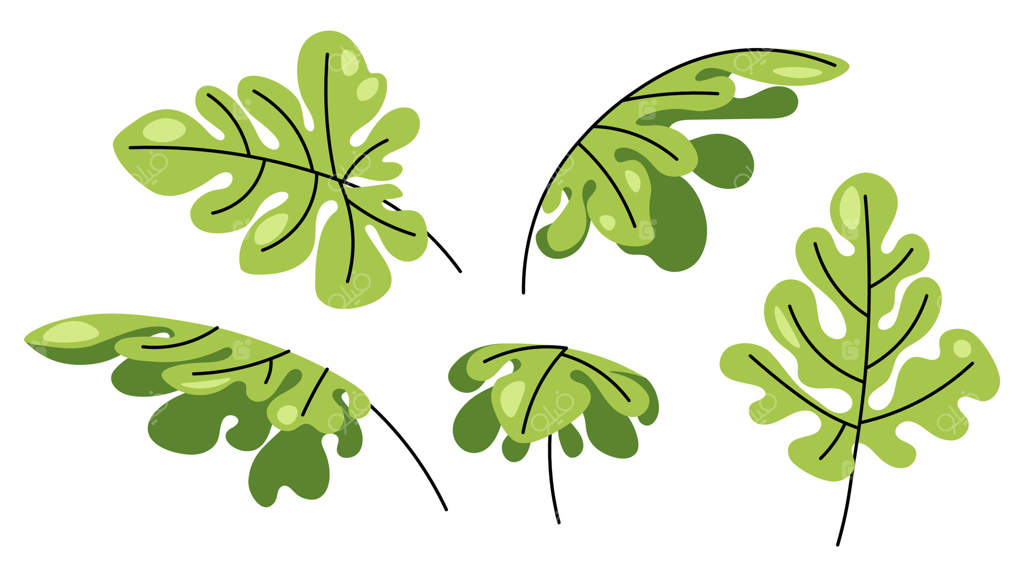 مجموعه برگ‌های هندوانه بر روی زمینه سفید. طراحی تخت شامل شاخه‌ها و برگ‌های گیاهی. مناسب برای لوگوی ارگانیک، برچسب کشاورزی، بسته‌بندی طبیعی، برندینگ زیست‌محیطی، برچسب باغ و دکور تابستانی.