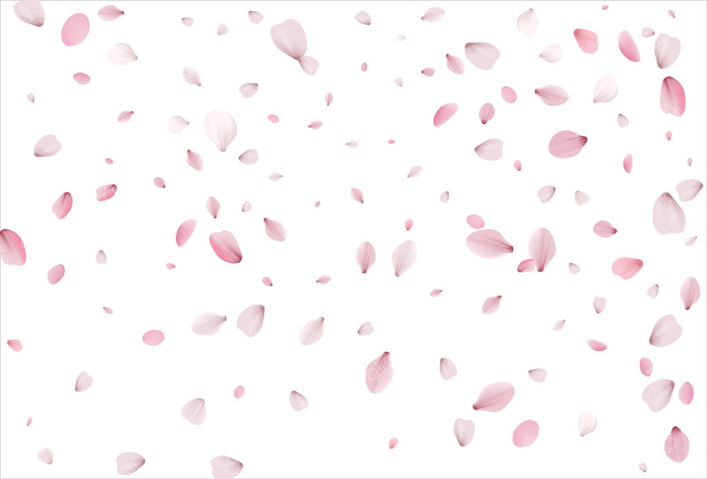 پس‌زمینه گلبرگ‌های شکوفه گیلاس