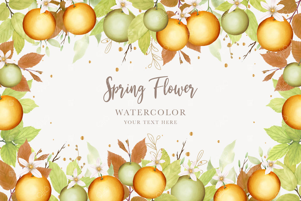 حلقه‌ی تزئینی میوه‌ی پرتقال با پس‌زمینه شیک