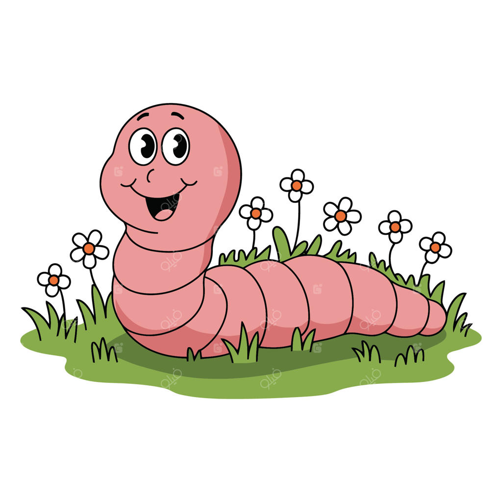 کرم خوشحال در باغ گل‌ها