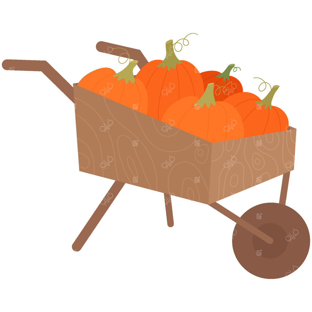 فرغون پر از کدو تنبل: مفهوم برداشت پاییزی، کشاورزی ارگانیک و باغبانی در خانه.