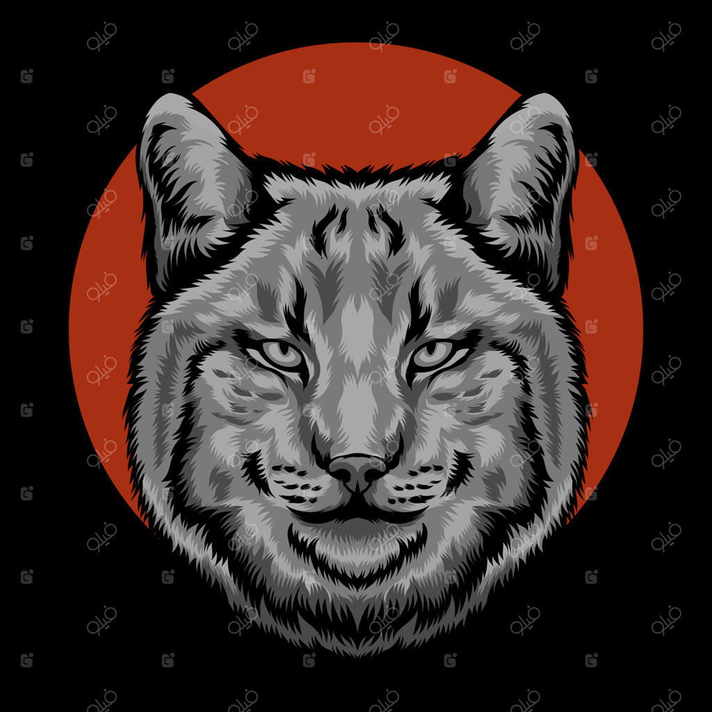 تصویرگری از سر گربه