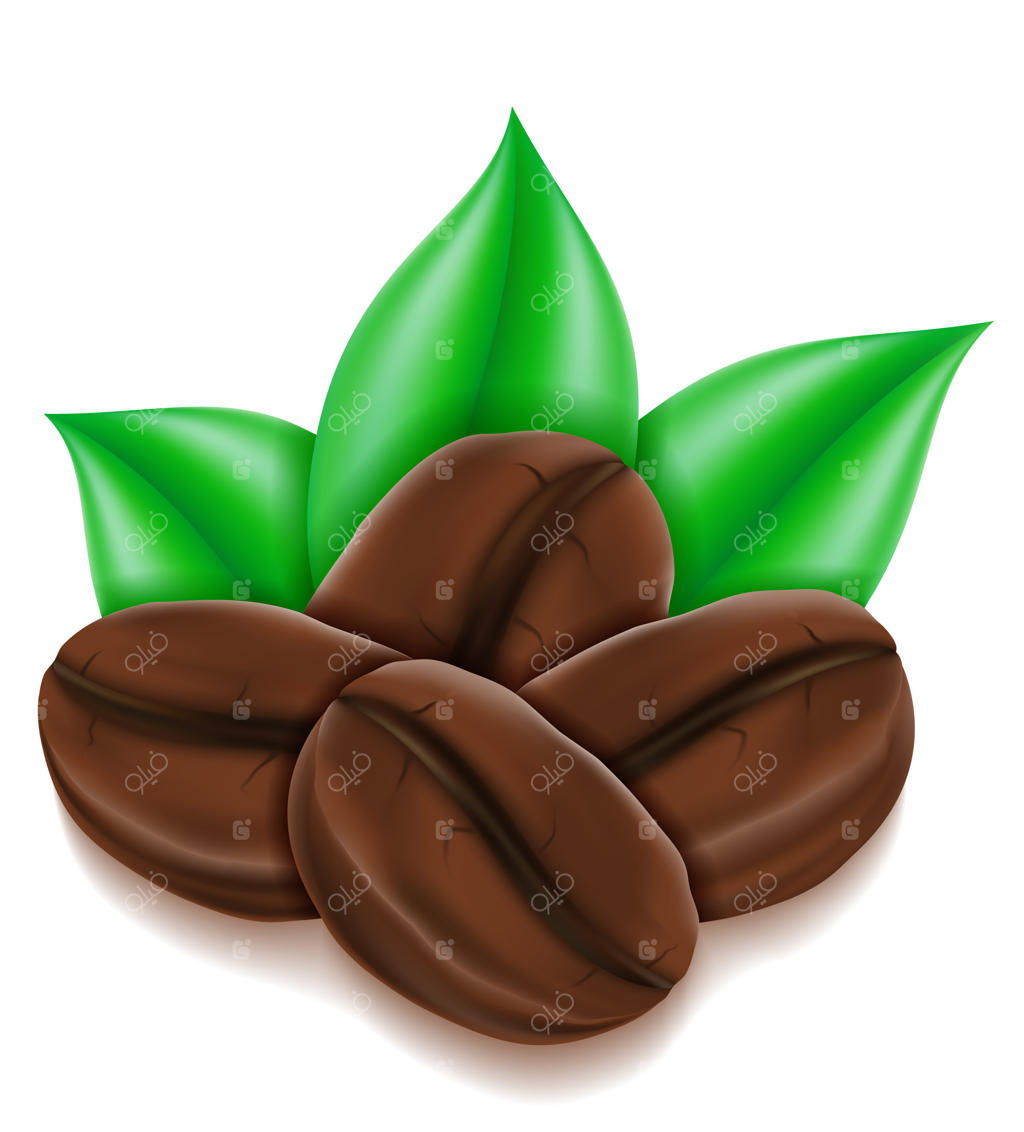 دانه قهوه روی زمینه سفید