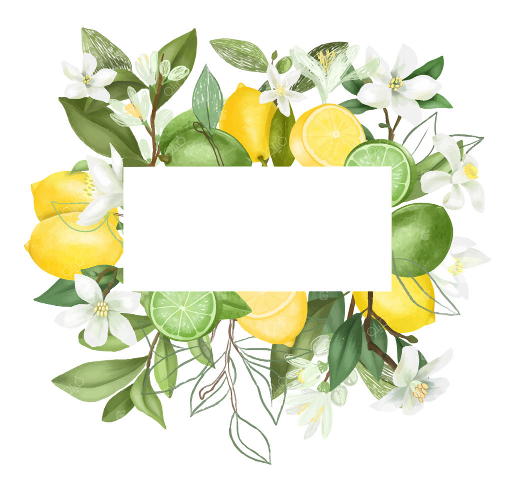 قاب شاخه‌های درخت لیمو با شکوفه‌های نقاشی دستی