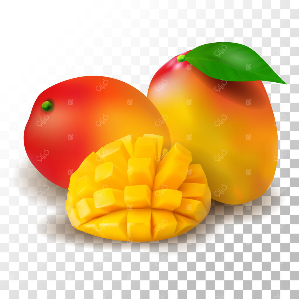 تصویرسازی انبه واقعی بر روی پس‌زمینه شفاف