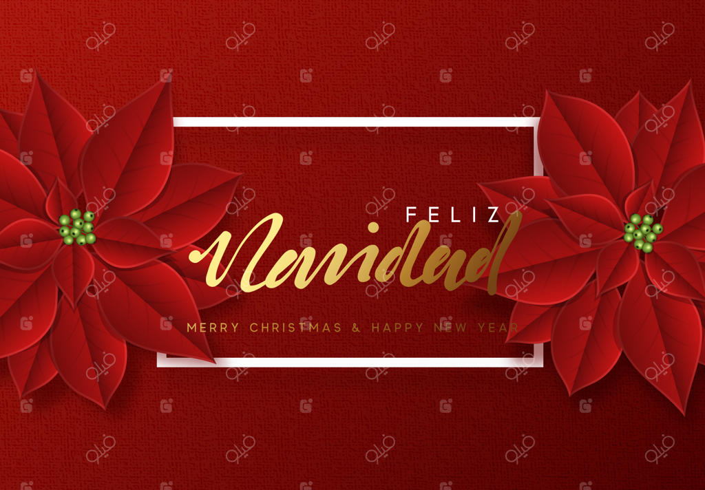 کریسمس مبارک، زمینه‌ای تزیین شده با گل‌های زیبا و قرمز بنت قنسول. متن اسپانیایی "فلیز ناویداد"