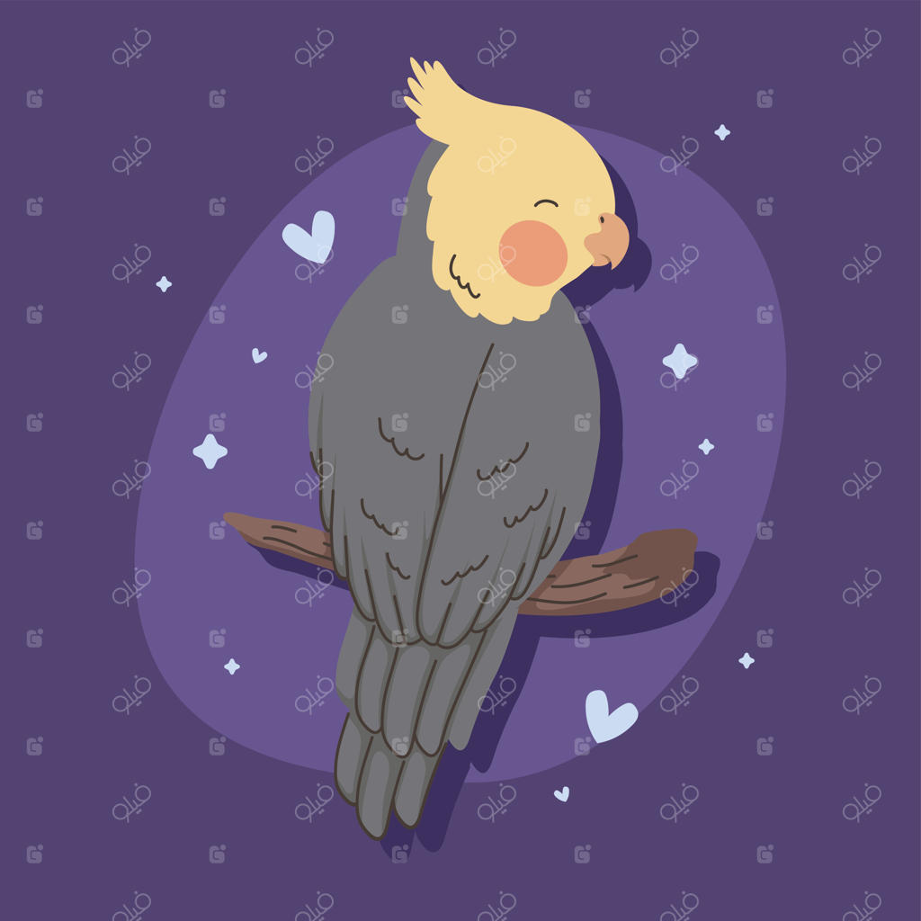 عاشق پرندگان زیبا