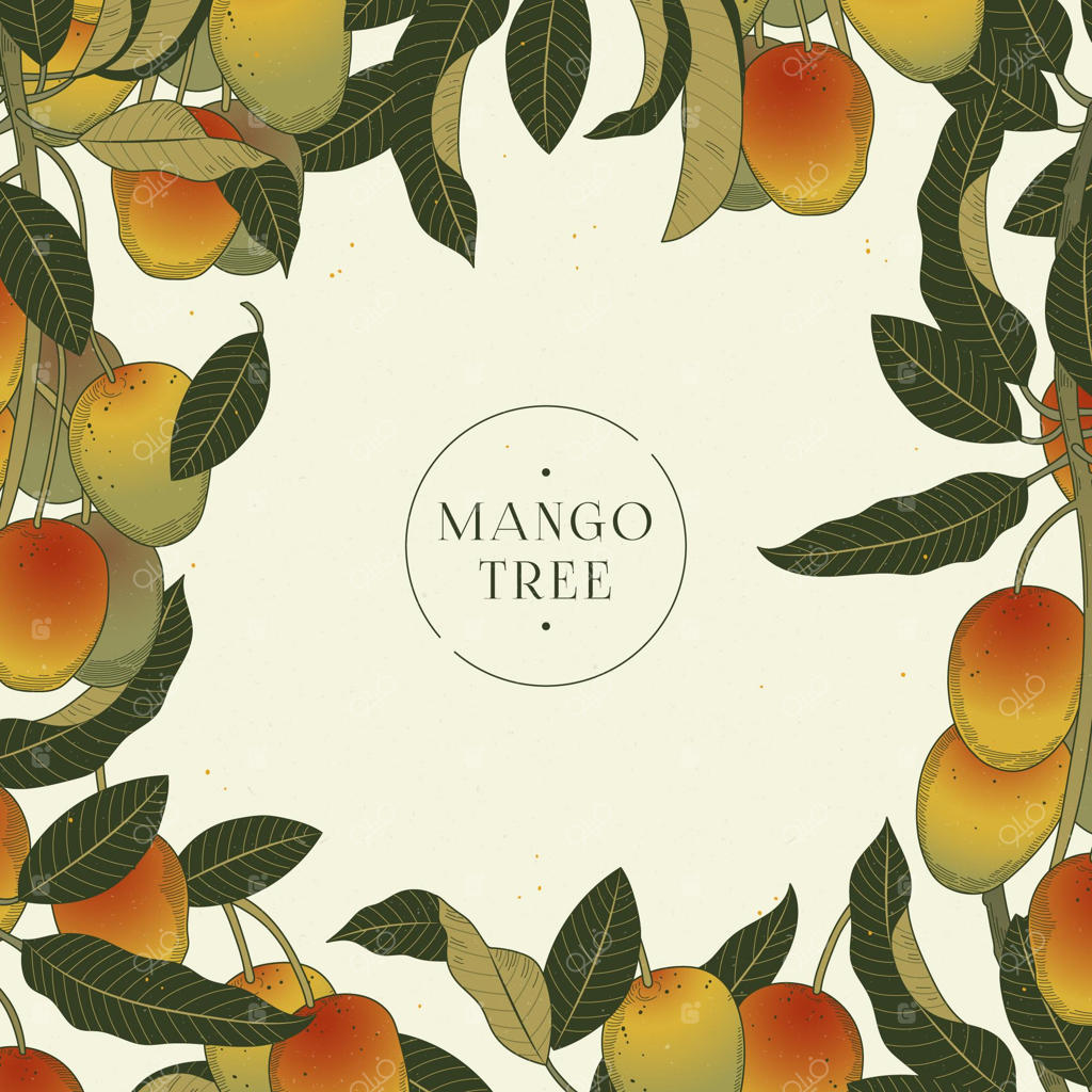 نقاشی درخت انبه به سبک گیاه‌شناسی