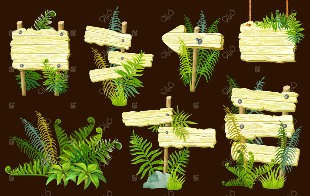 تخته‌های چوبی با سرخس و خزه.