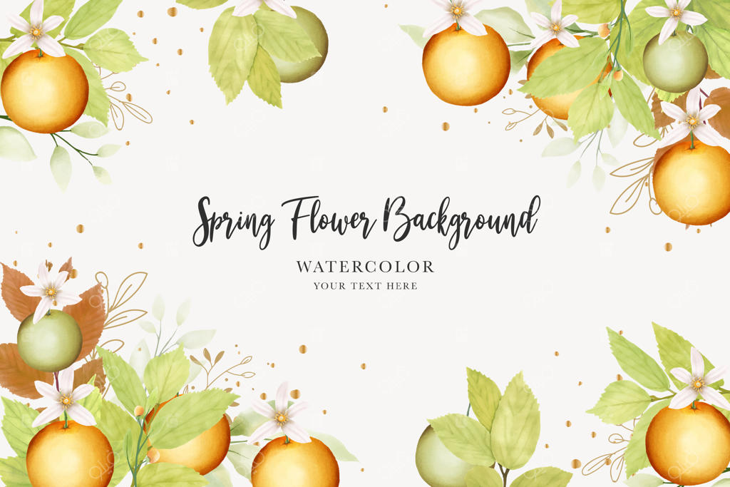 حلقه‌ای زیبا از میوه‌های نارنجی با پس‌زمینه خاص