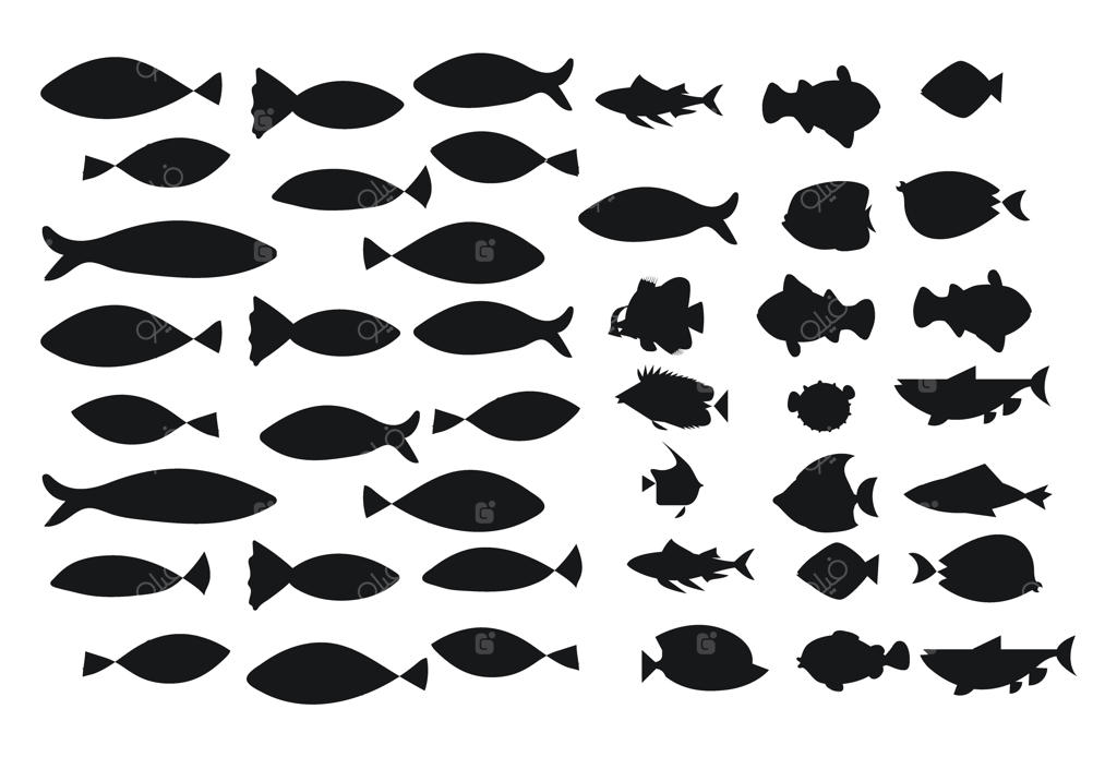 مجموعه سیلوئت‌های ماهی