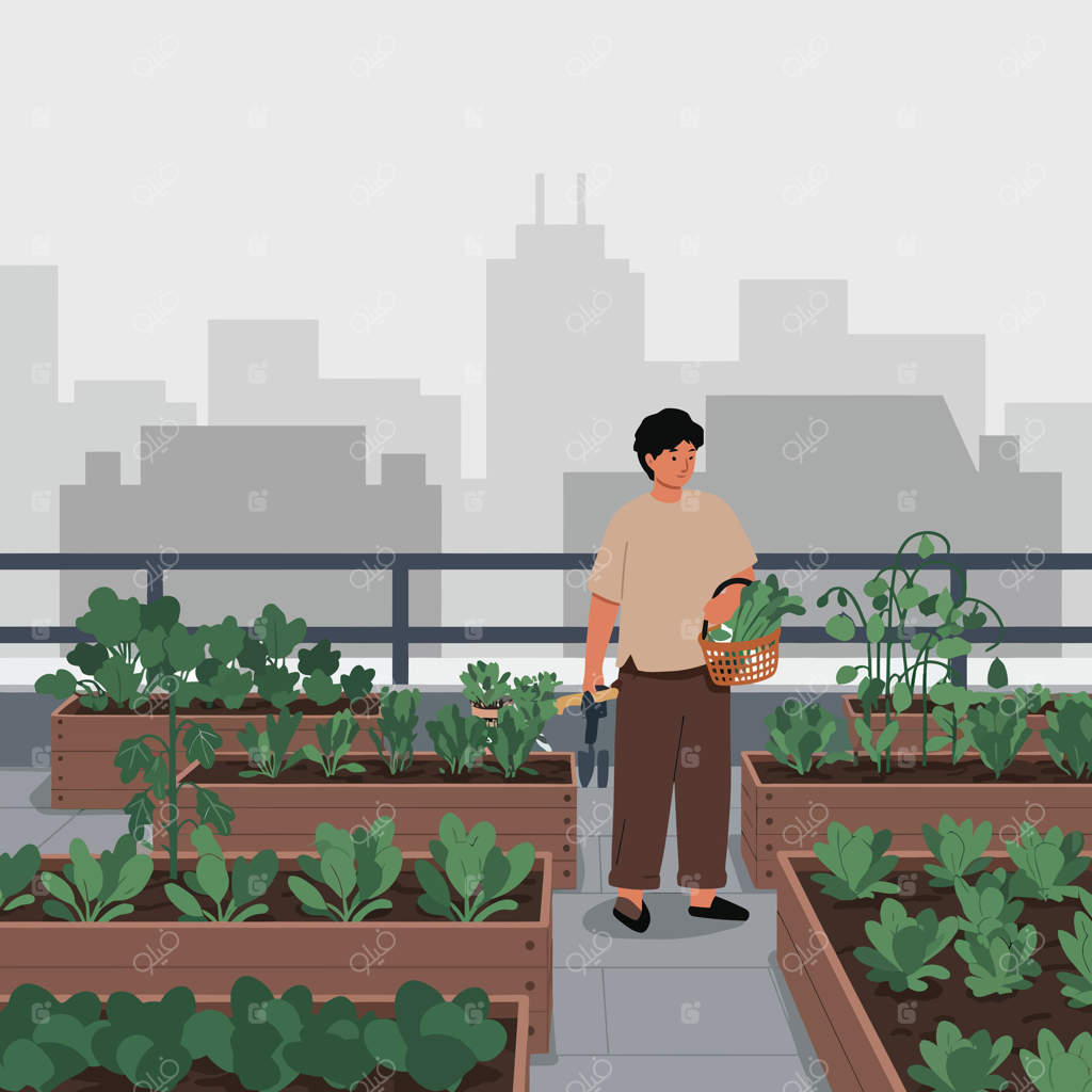 باغچه‌ پشت‌بامی شهری با فردی در حال برداشت سبزیجات تازه در تخت‌های مرتفع، با پس‌زمینه‌ای از سبزی طبیعی و نمای شهر