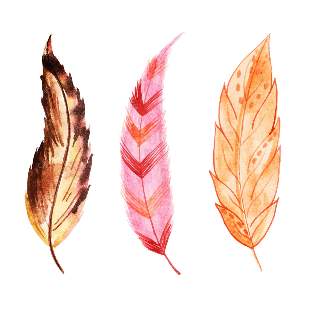 مجموعه زیبا از پرهای آبرنگی