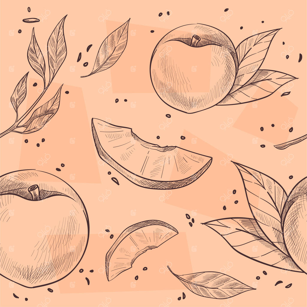 هلوهای رسیده در شاخه‌ها با میوه‌های برگ‌دار