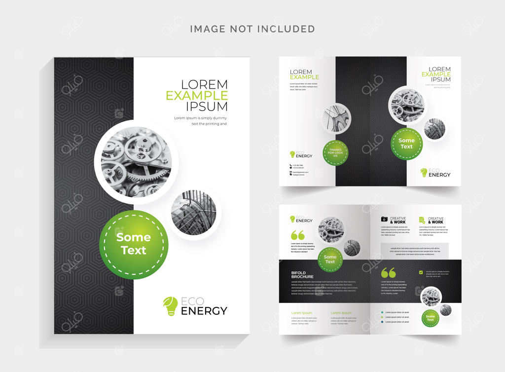 بروشور دو لت تجاری با طرح دایره