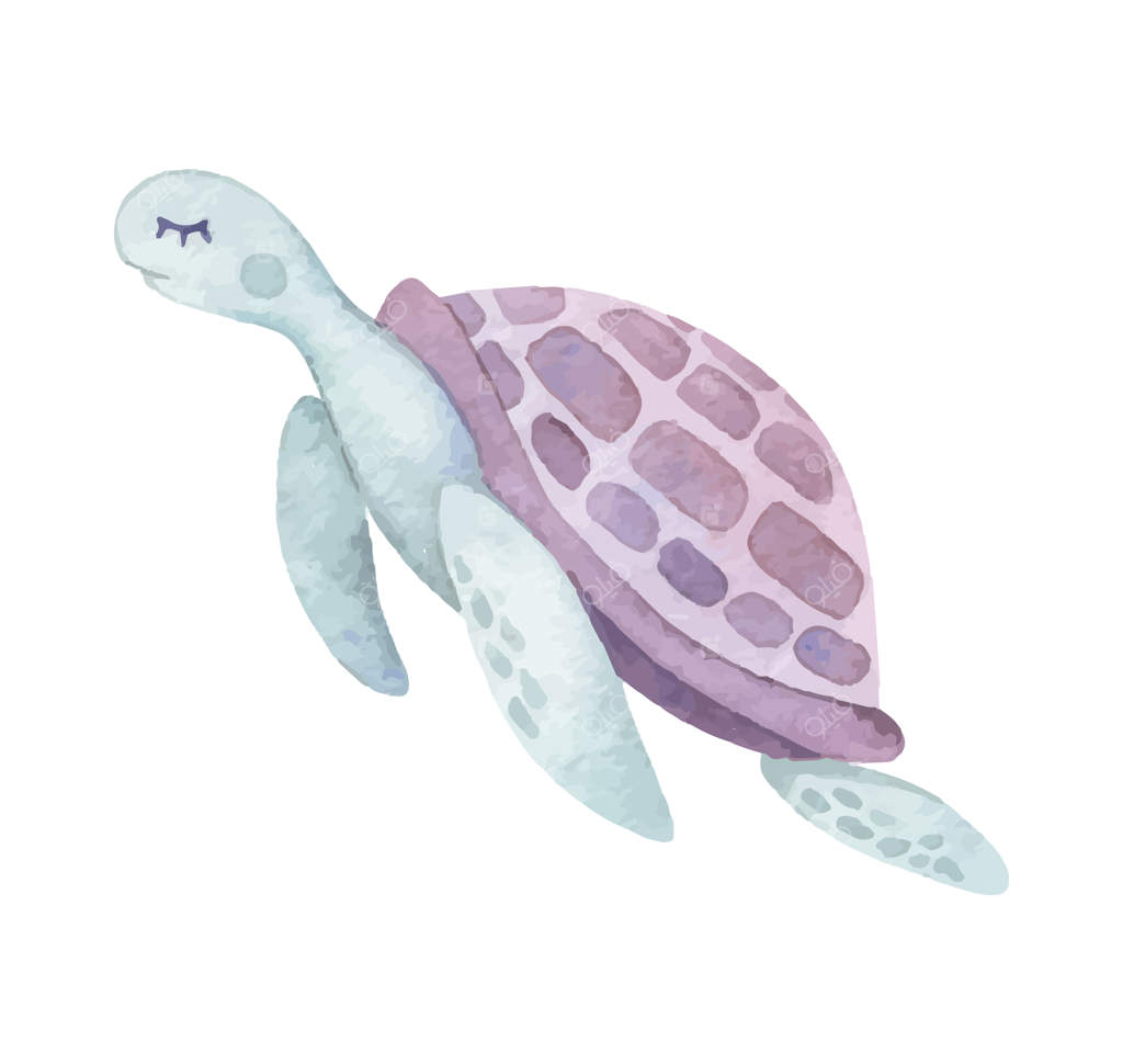 لاک‌پشت دریایی نقاشی آبرنگی دست‌ساز وکتور دریا