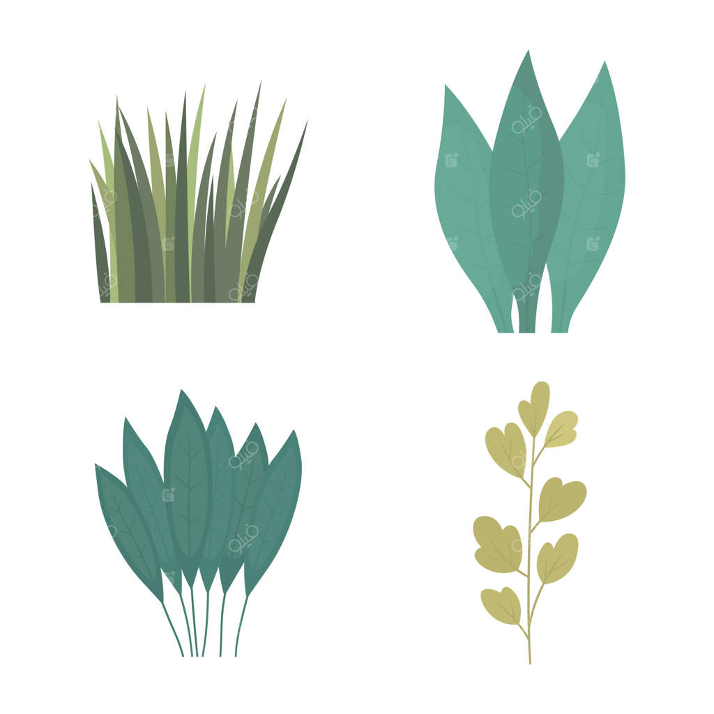 عناصر مجموعه‌ای از برگ‌های گرمسیری، شاخ و برگ، چمن، گیاه‌شناسی، طبیعت، گیاه در پارک، باغ و جنگل