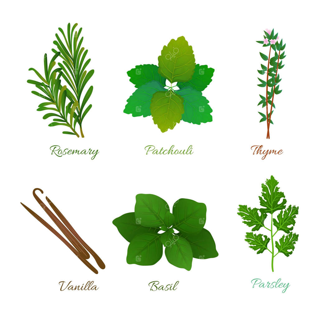 مجموعه کامل روغن‌های اسانسی گیاهی