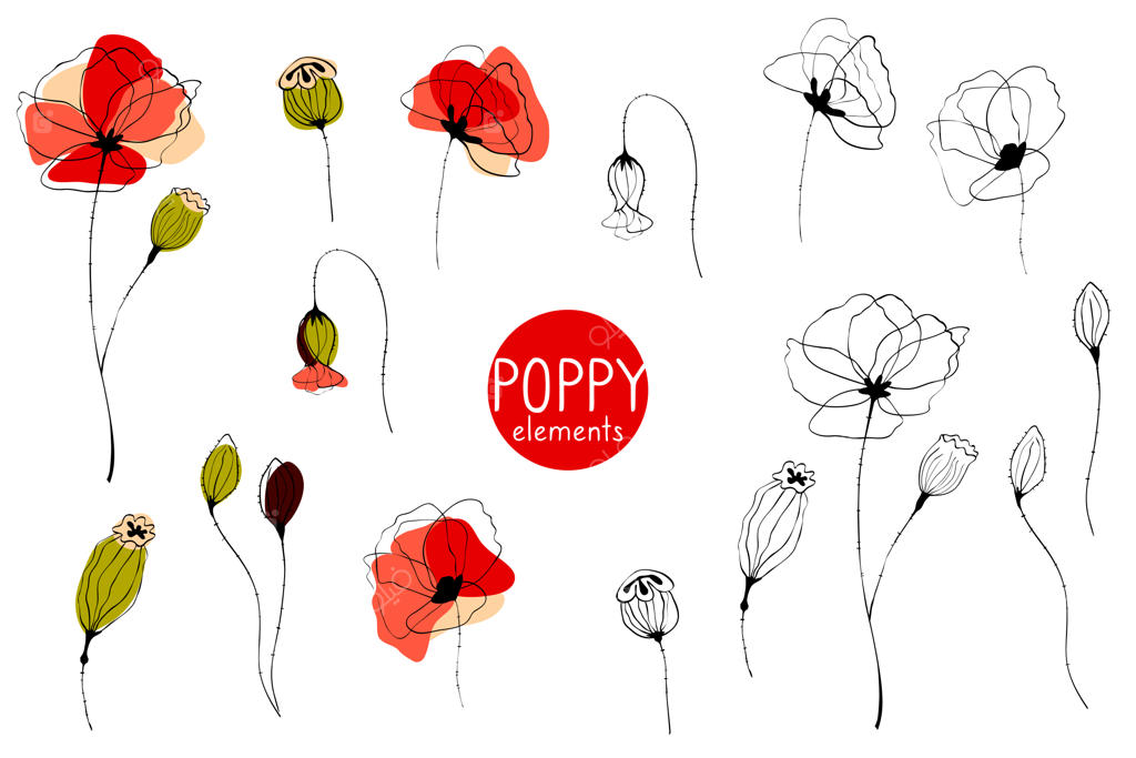 مجموعه عناصر گل شقایق