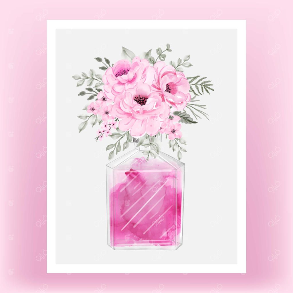 عطر گل رز و صد تومانی صورتی: تصویرسازی با آبرنگ