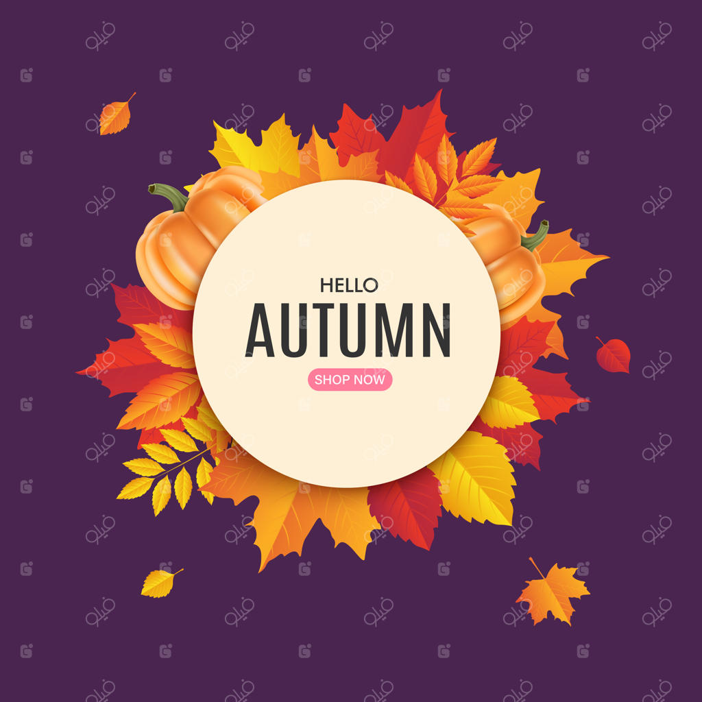 طراحی بنر تخفیف پاییزی. قالب برچسب فروش ویژه پاییز. نشان تبلیغاتی ویژه