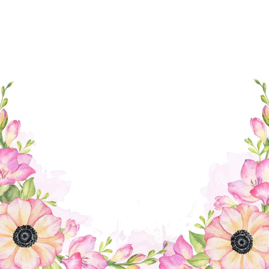 گل‌های فریزیا صورتی، غنچه‌ها و برگ‌ها. قاب مربعی نقاشی شده با دست با رنگ آب از گل‌های باغ صورتی. حلقه گل تابستانی از گل‌های وحشی صورتی برای دعوت‌نامه‌های عروسی، کارت‌ها و بسته‌بندی محصولات