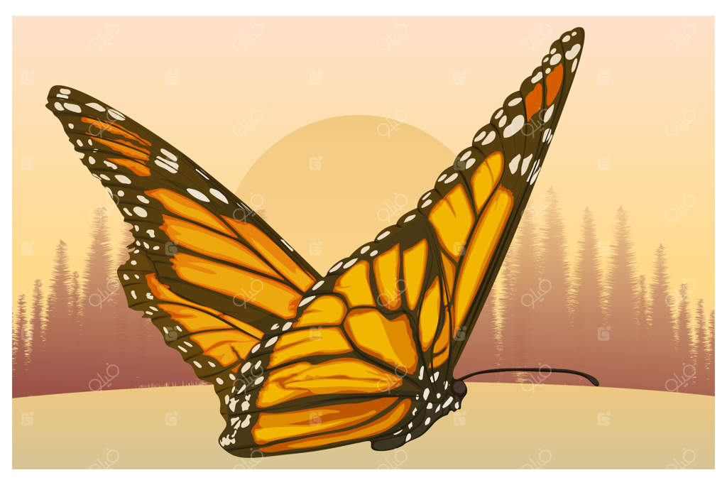 تصویر پروانه زرد در بعدازظهر