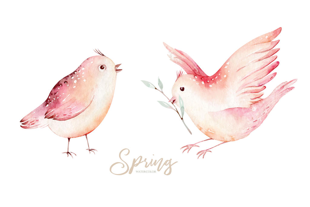 پرنده بهاری روی شاخه شکوفه‌دار با برگ‌های سبز و گل‌ها. نقاشی آبرنگ. طراحی دستی.