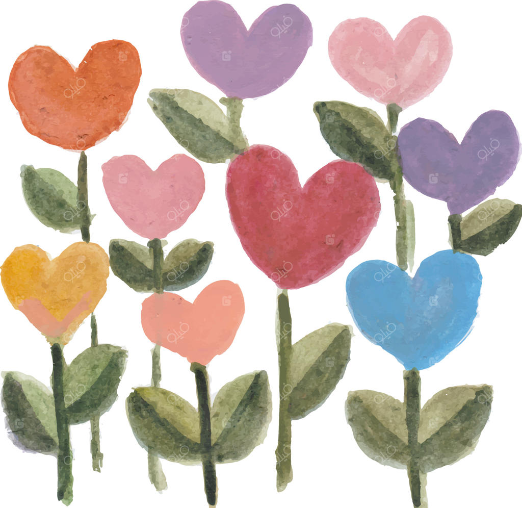 گیاهان گل‌های آبرنگی به شکل قلب