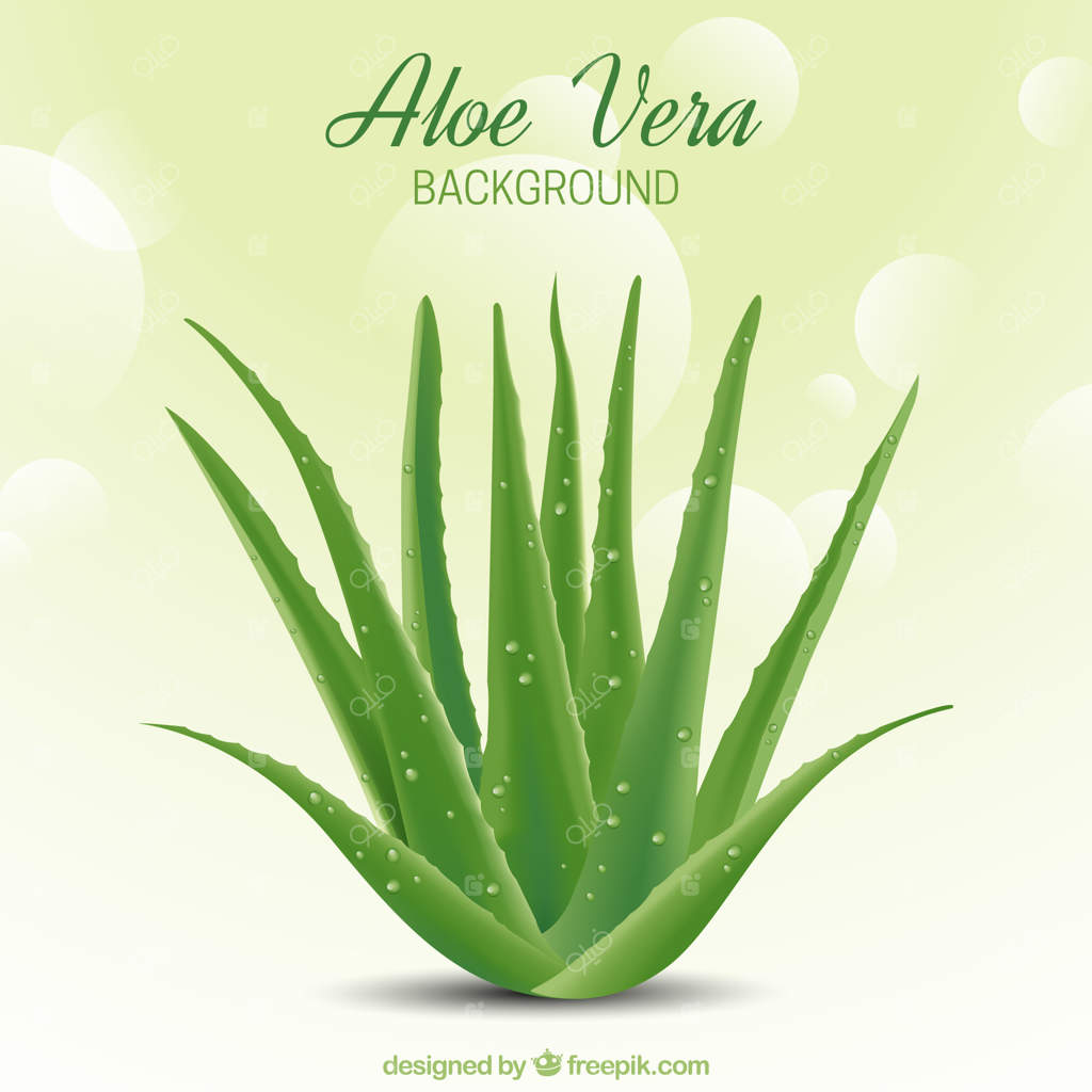 پس‌زمینه انتزاعی با جلوه بوکه و آلوئه‌ورا