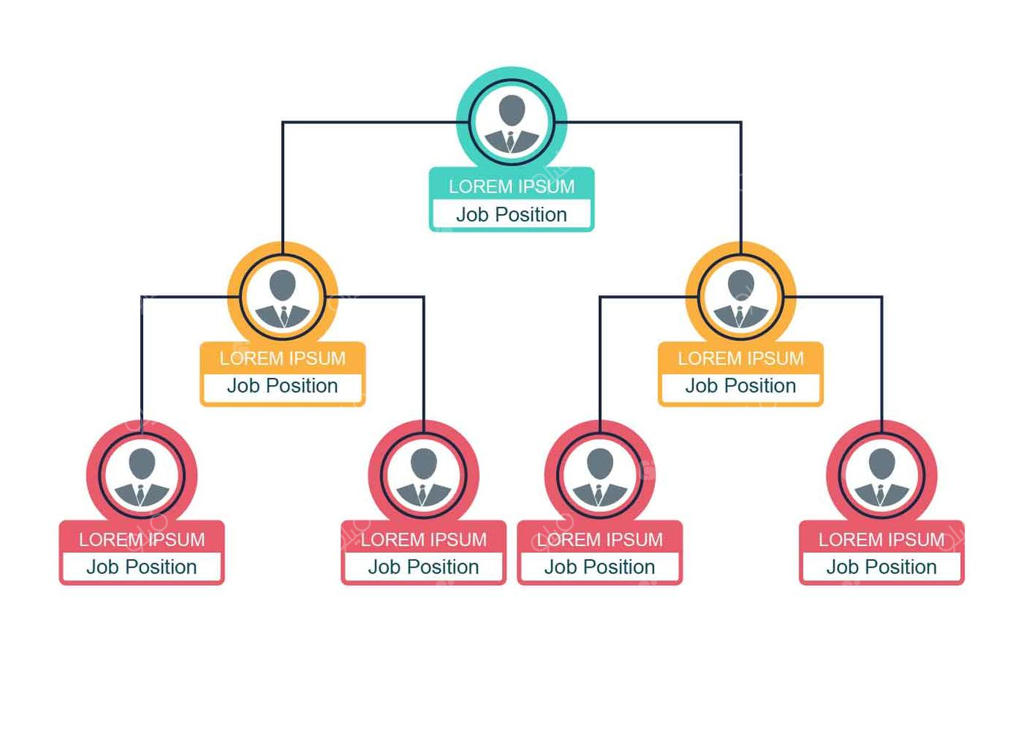 نمودار سازمانی کسب و کار