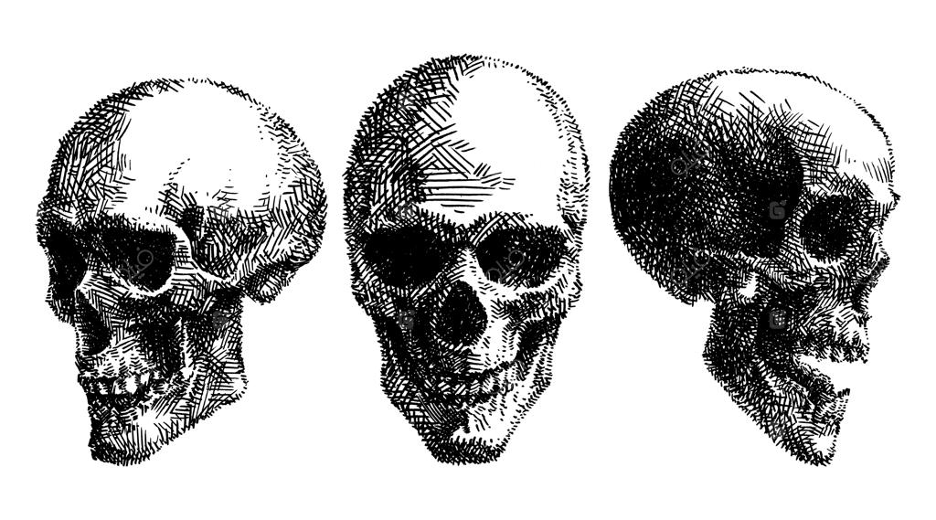 مجموعه‌ای از نقاشی‌های دست‌کشیده جمجمه انسان