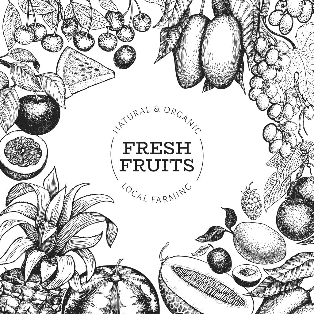 الگوی میوه و توت‌ها. تصویرسازی دستی میوه‌های استوایی. طرح میوه با سبک حکاکی. خوراکی‌های استوایی طرح قدیمی.