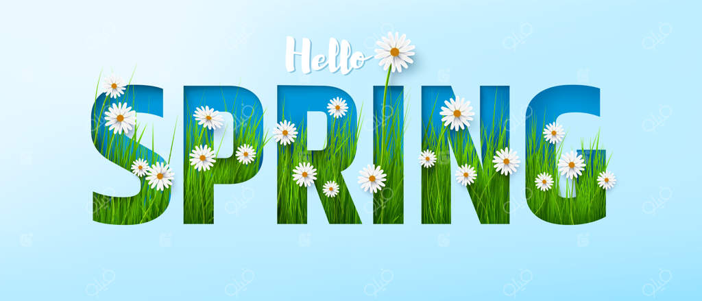 پوستر یا بنر بهاری با شکوفه‌های سفید و چمن سبز