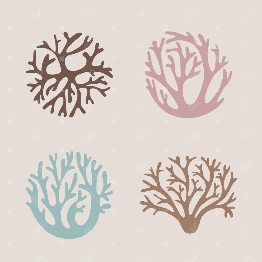 مجموعه جلبک، مرجان و خزه با رنگ‌های لطیف