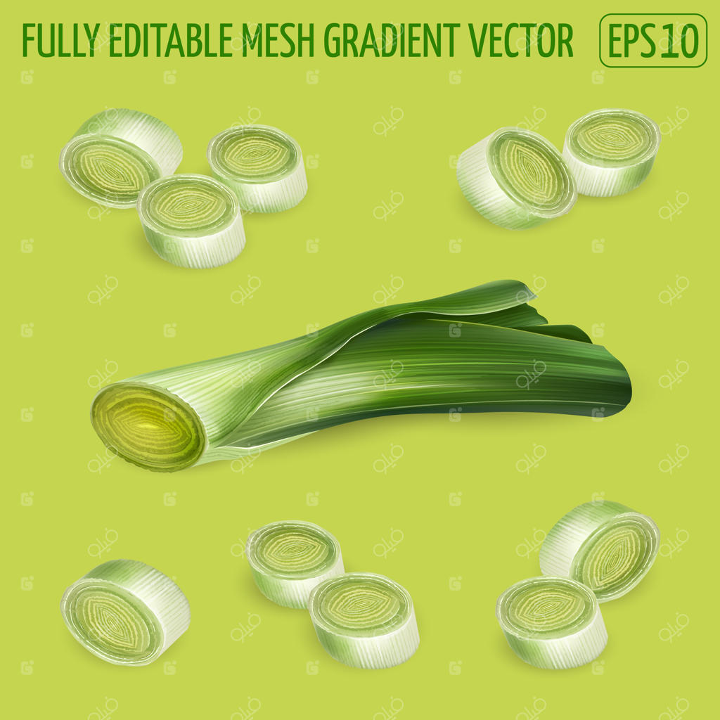 مجموعه‌ای از ترسیمات تره‌فرنگی - نقاشی دقیق سبزیجات تازه.