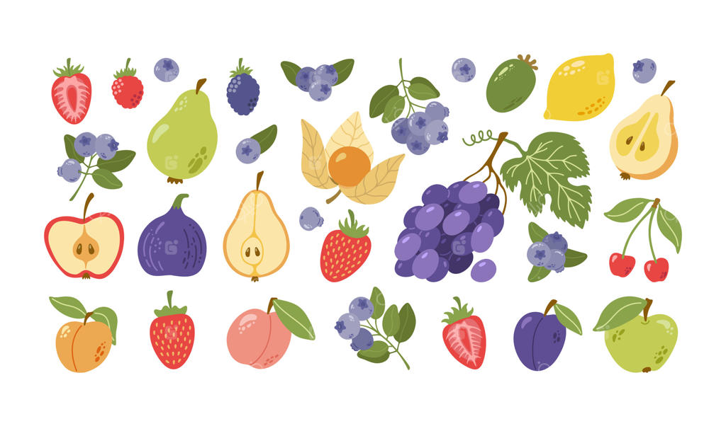 میوه‌ها و توت‌های تابستانی با برگ‌ها: بلوبری، توت‌فرنگی، شاه‌توت، گلابی، سیب، انجیر، زردآلو، هلو، فیسالیس، انگور، لیمو، گیلاس، آلو و فیجوا. طراحی کارتونی دستی.