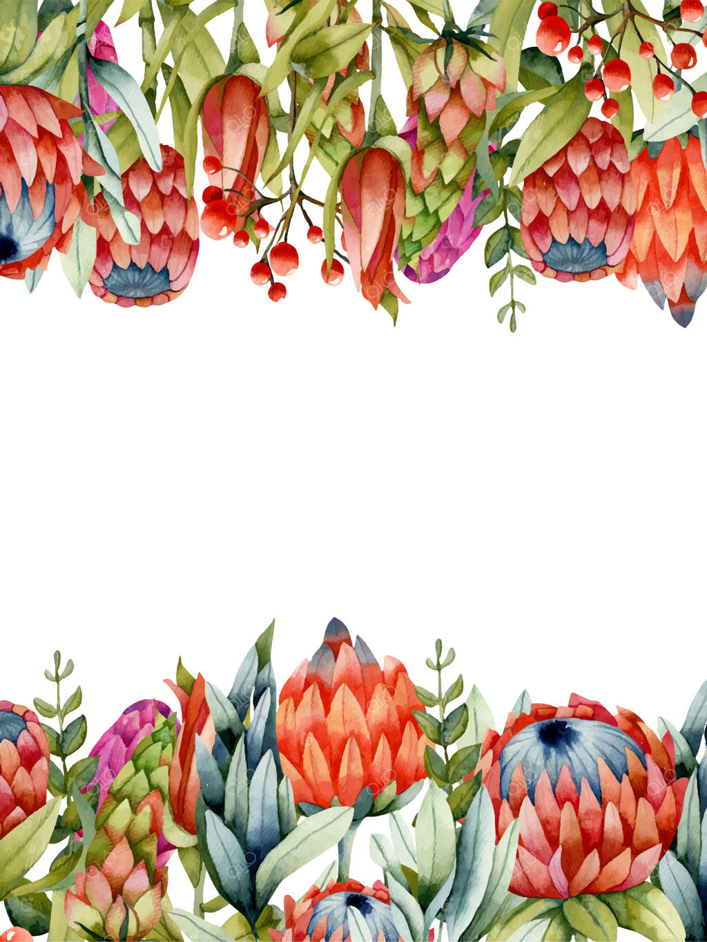 قالب کارت با گل‌های پروتئا آبرنگی