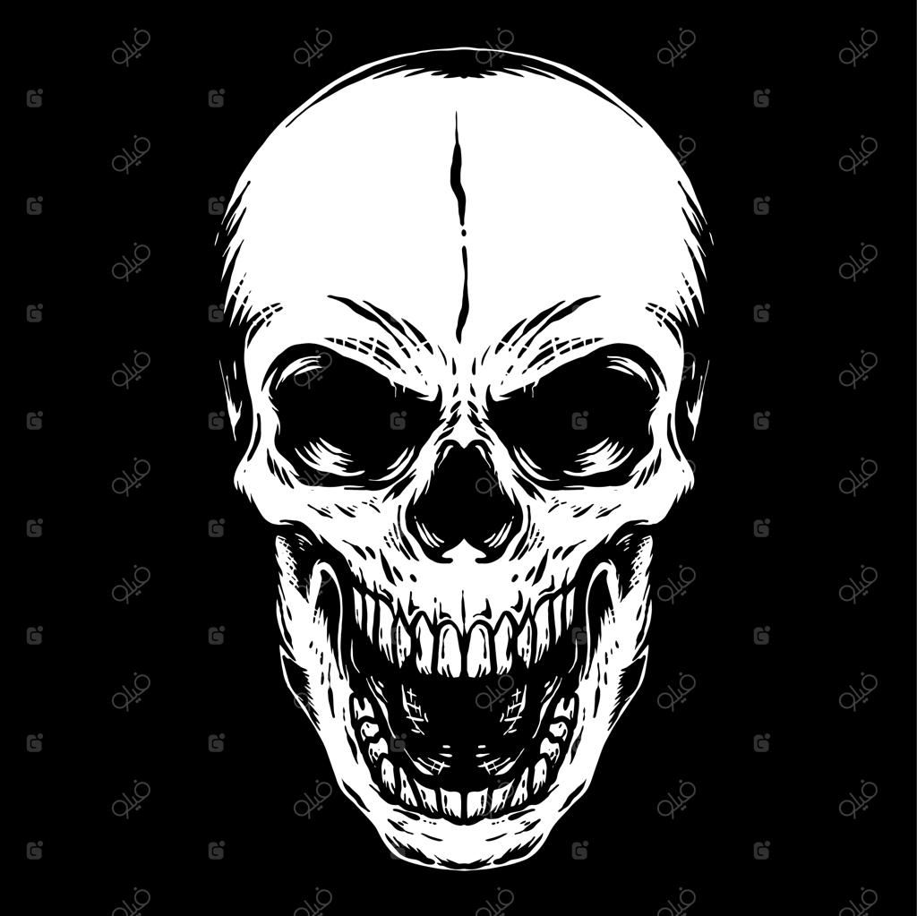 تصویرسازی قدیمی جمجمه انسان