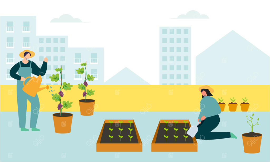 تصویر همکاری باغبان‌ها و کشاورزان برای طراحی بام سبز