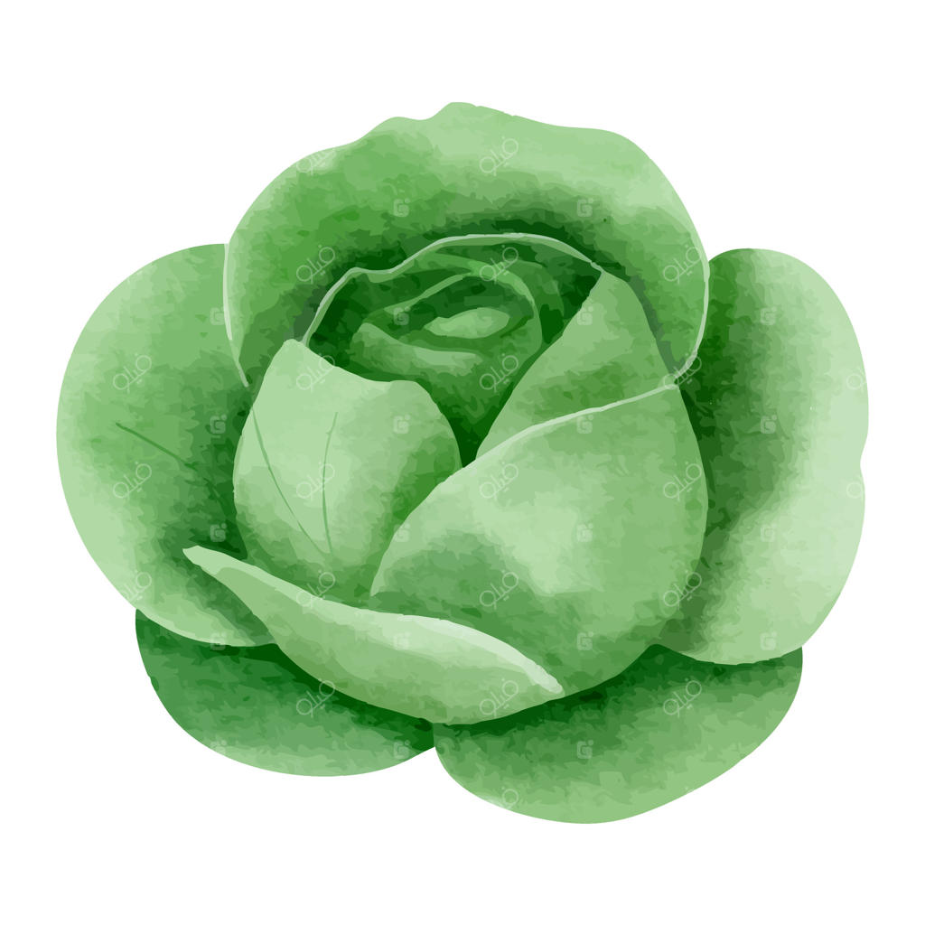 کلم نقاشی شده با آبرنگ. سبزیجات دست‌ساز. غذای سالم وگان.