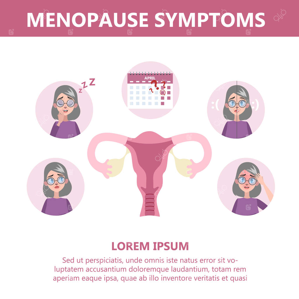 اینفوگرافیک علائم یائسگی: سیستم هورمونی و تولید مثل