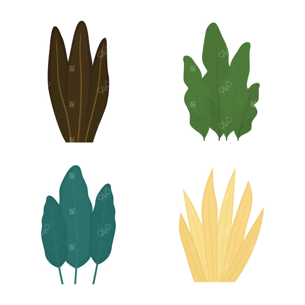 دسته‌ای از برگ‌های تازه و گرمسیری و علف‌های طبیعی در باغ پارک