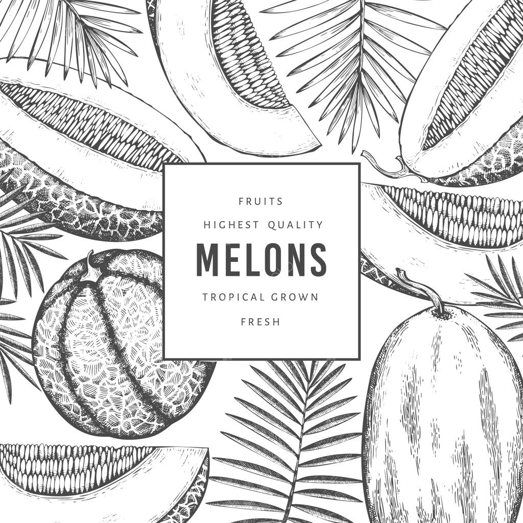 طالبی با طرح برگ‌های استوایی