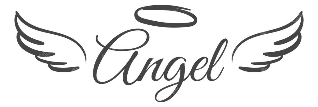لوگو و نماد بال فرشته آسمانی در حال پرواز با طرح دستی