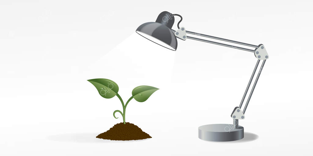 تصویر چراغ رومیزی که به جوانه سبز نور می‌دهد