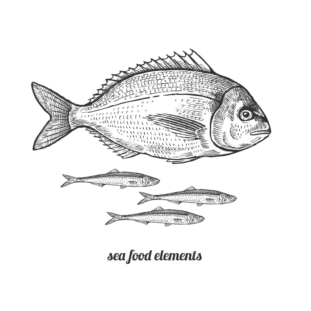 ماهی دورادو و آنچوی.